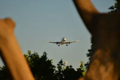 DSC_5719 (Large).JPG